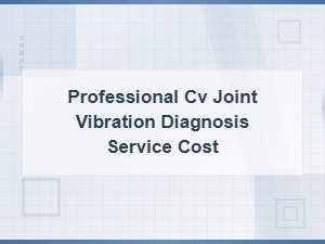 Professional Cv Joint Vibration Diagnosis Service Cost Guide